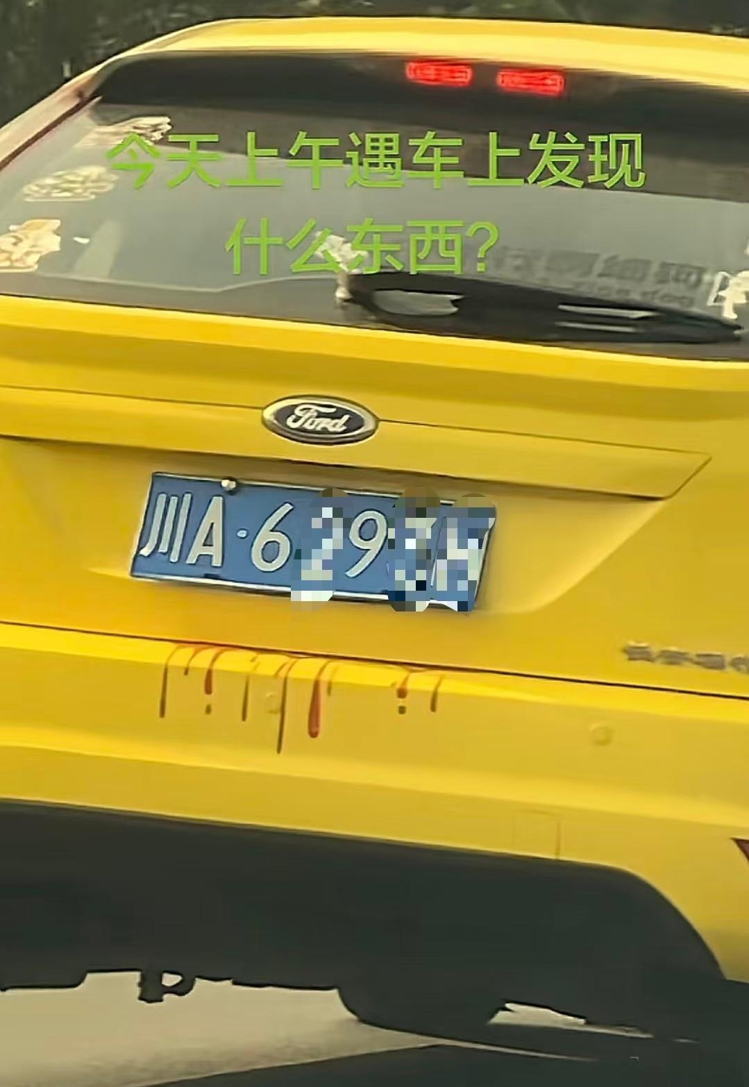 遂宁一辆福特车后备箱盖下，

几条鲜红色液体往下淌，

网友拍下来直接@了四川交