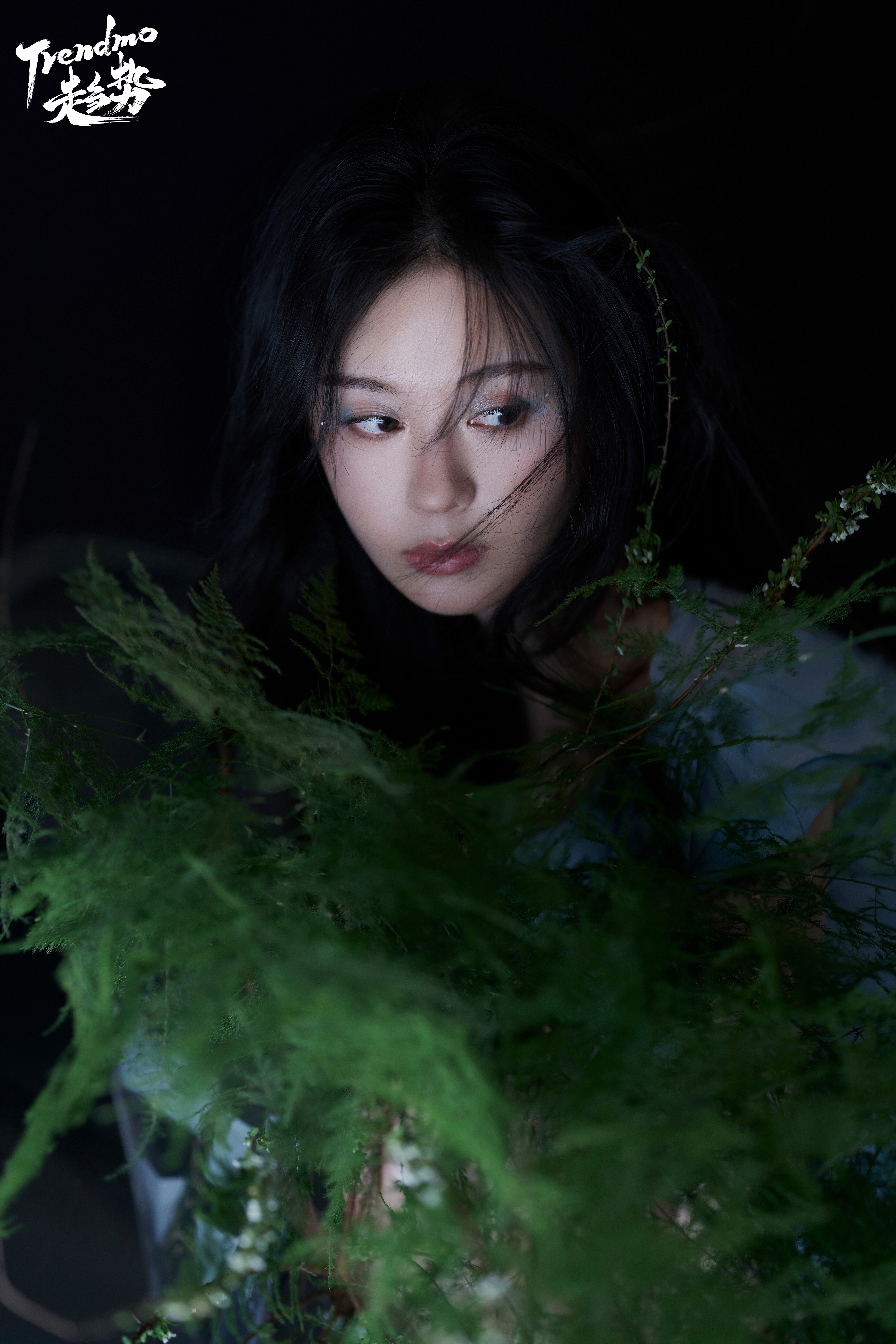 郑合惠子 山野精灵   离开了郑合惠子，咱们粉丝从哪里寻找到这种唯美的大片啊？好