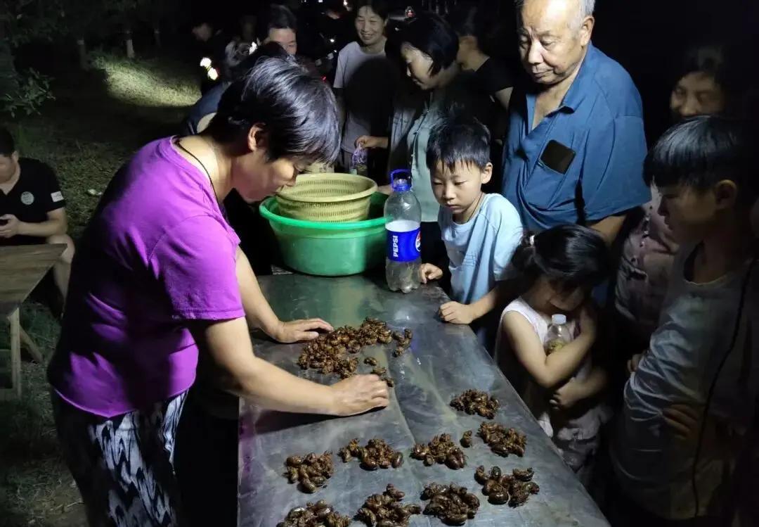 大爷摸知了猴3个小时赚近400元，其实，对于山河四省的人来说，摸知了猴是很多人的