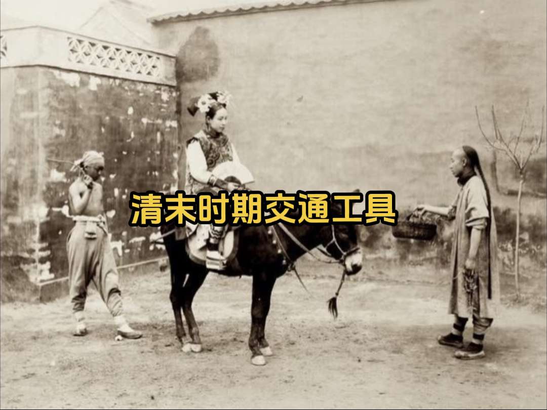 罕见老照片 晚清时期的交通工具驴、骡子。