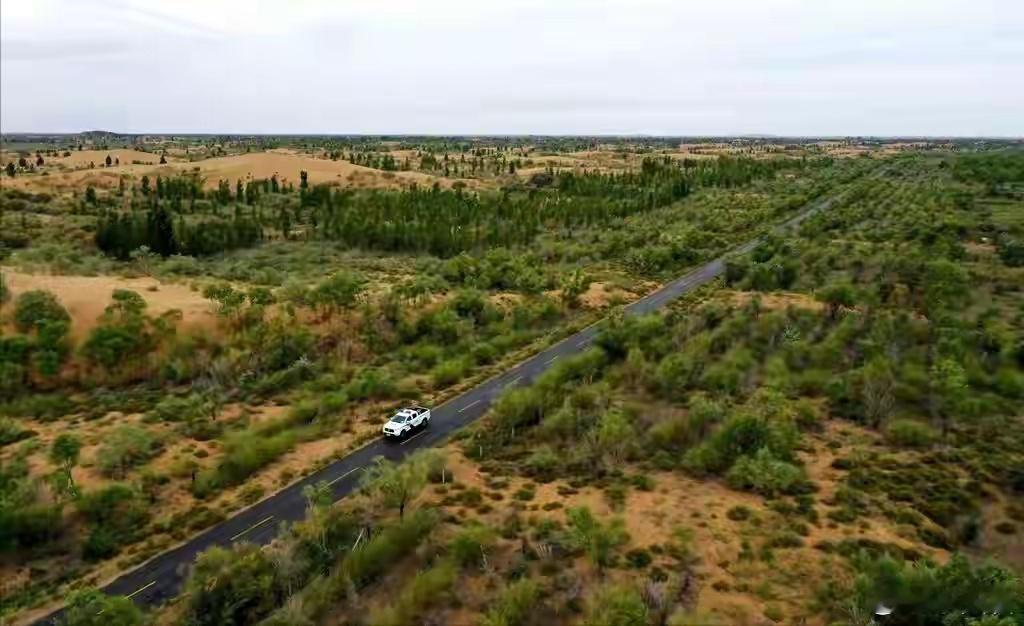 被中国人的沙漠植树奇迹震撼了 高效机械植树、无水保水培育、板上发电板下修复，多项