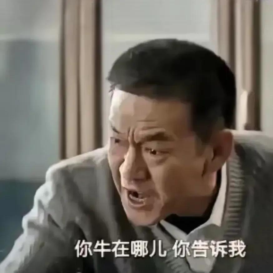 最具公安风范的是局长韩敬东
最混蛋的地方公安局长顾保雄
最接地气的基层刑警队长杨