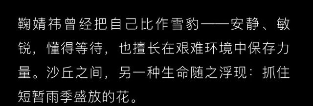 雪豹 