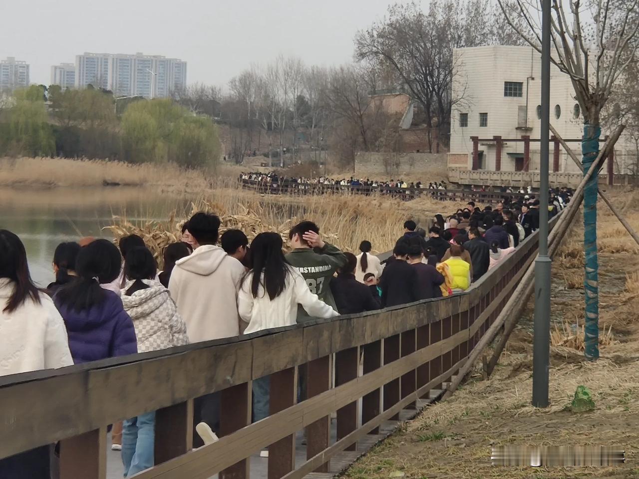 今天郑州市西流湖公园游人呈井喷之势，栈道上人流比肩接踵，停车场车满为患，中原路、