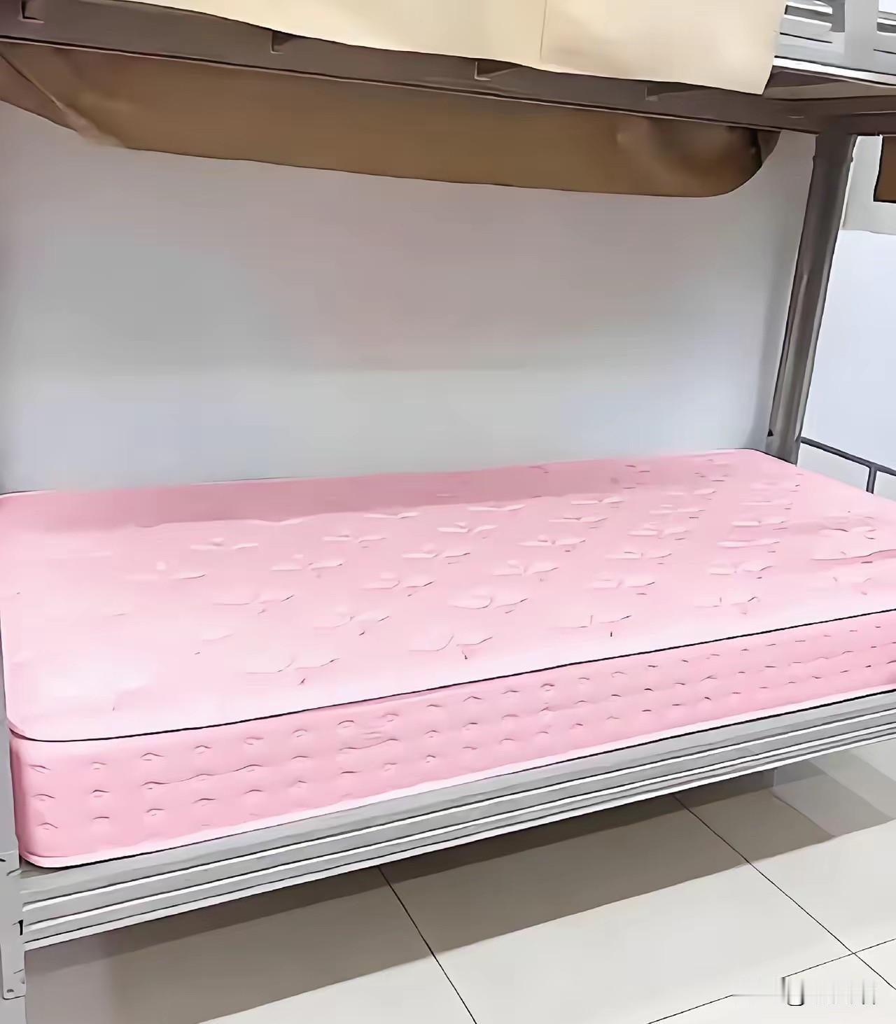 女儿非要3000块的床垫，我该妥协吗？

昨晚女儿发来消息，说室友爸爸花3000