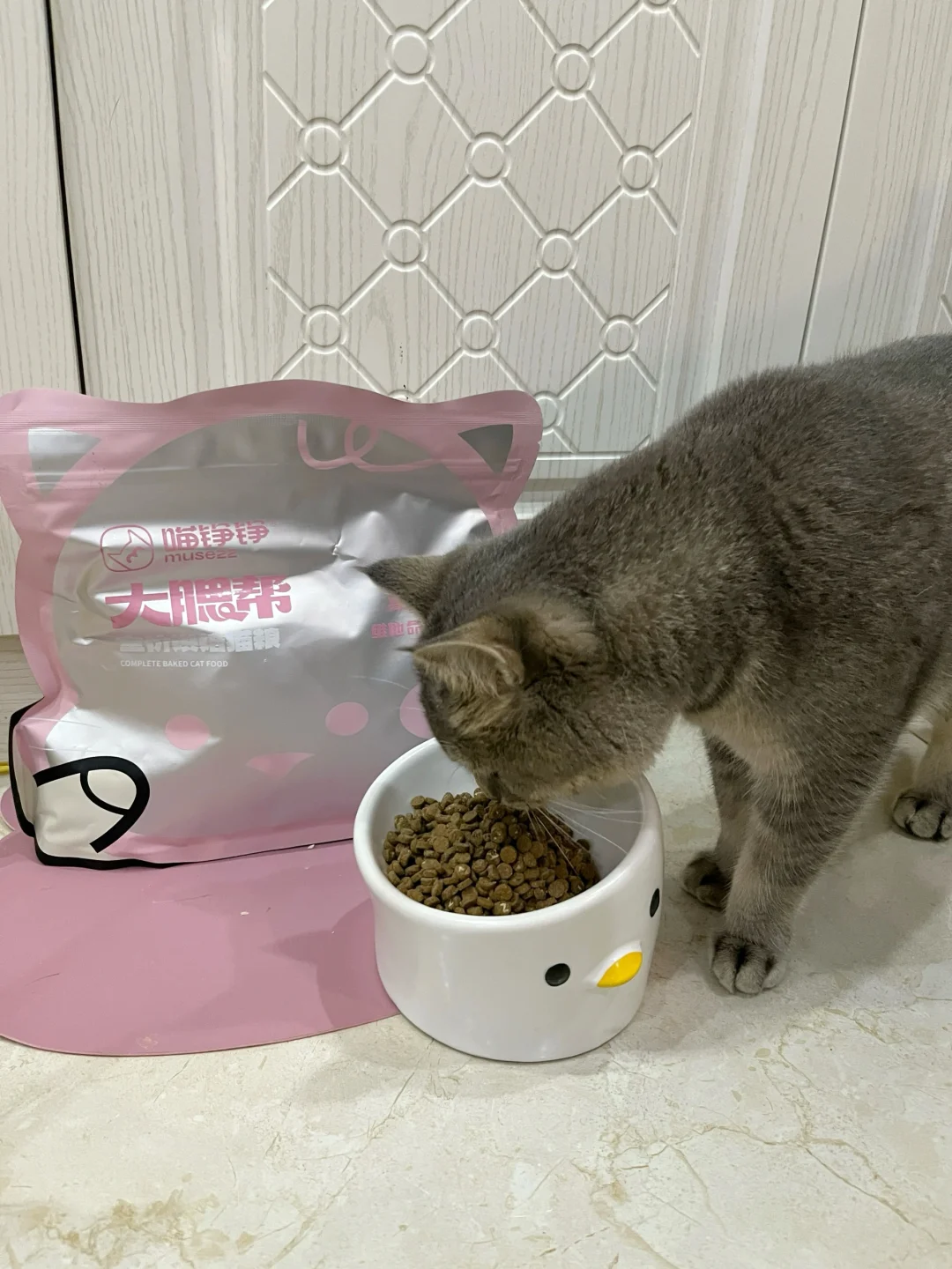 就这一招，轻松拿捏挑嘴猫！