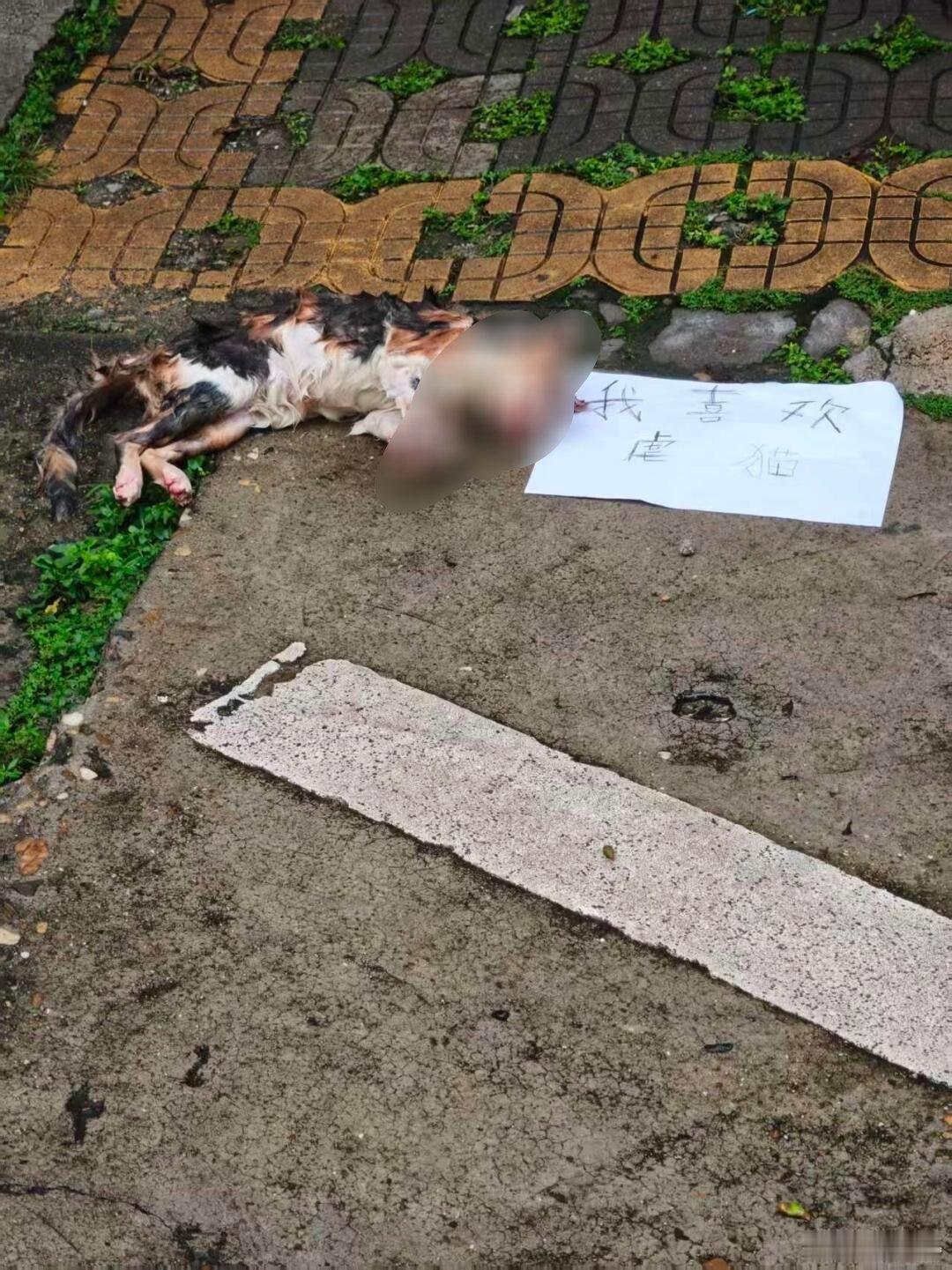 -天呐，这是什么情况？？居然还专门写了一张纸条挑衅吗？？？ 希望学校可以重视并及