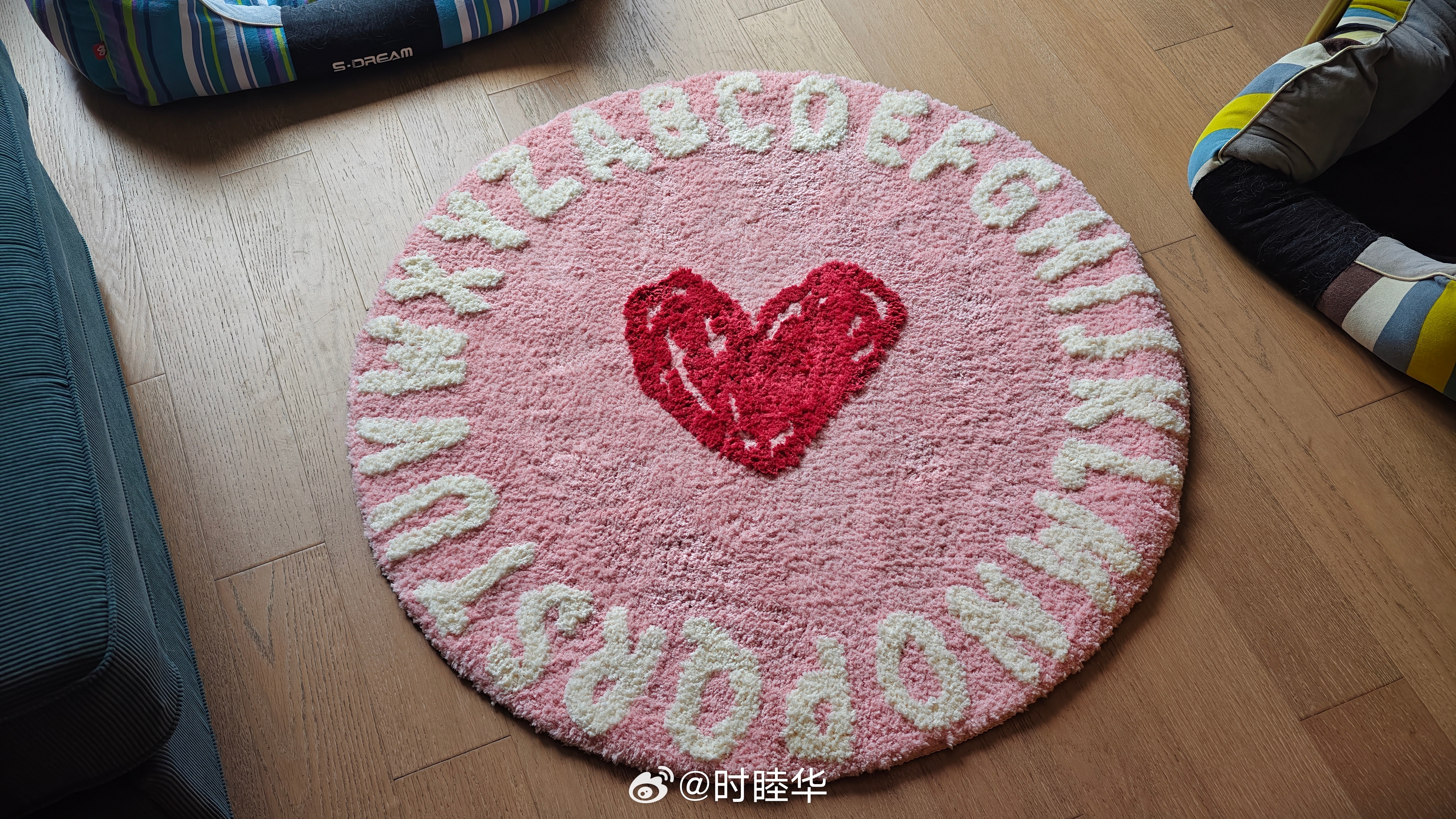 老婆给小可买了一个粉粉的地毯，小可很喜欢时哥大女儿小可（狗）