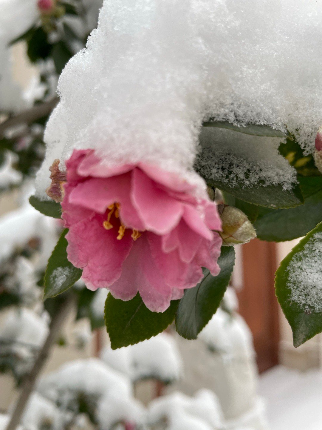 当一种特质成为了负担或许 已违背了初衷要戒断么 终究是舍不得在可憎之前尽力克制吧