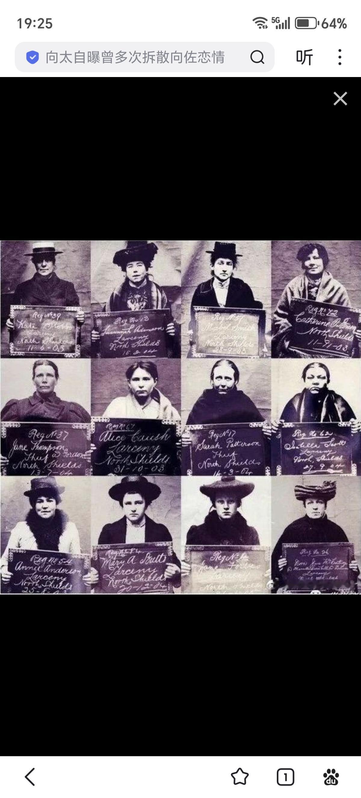 20世纪初期伦敦著名全女黑帮“四十大象”部分成员的入狱照。

四十大象的起源可以