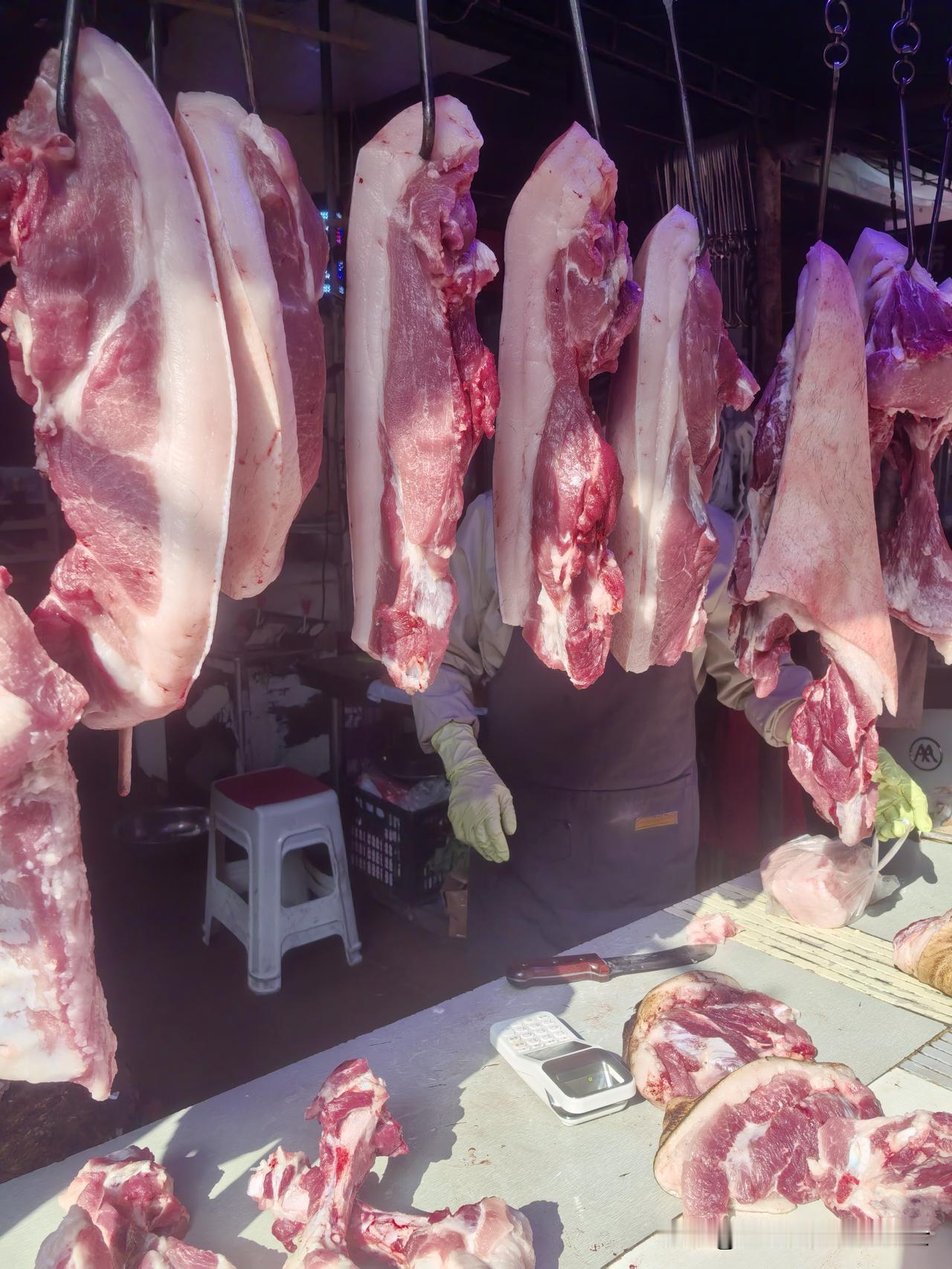 奉劝大家，去菜市买肉一定要早上去，天气变热后苍蝇太多了。

每天下午去幼儿园接小