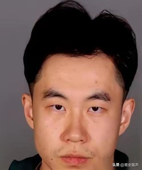 张大鹏，一个哈工大毕业、在法兰克福拿高薪的IT经理。如果不是德国警方那把破门而入
