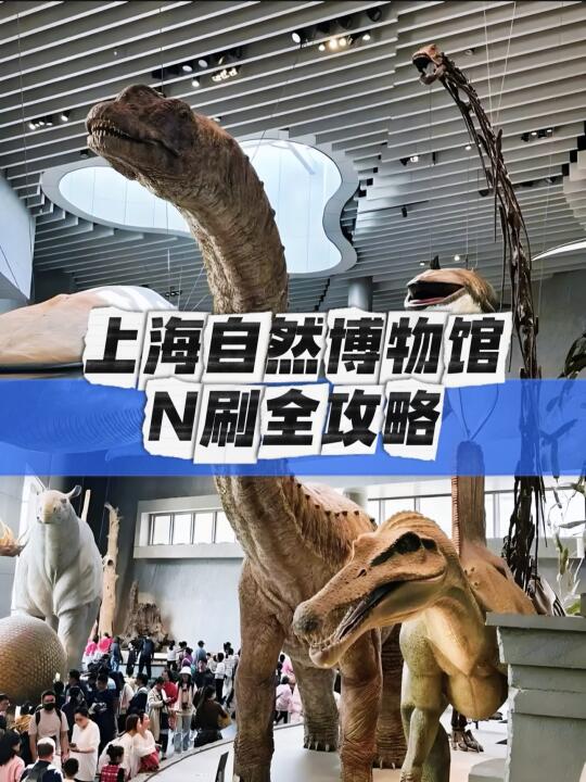 🔴保姆级教程，上海自然博物馆预约全攻略