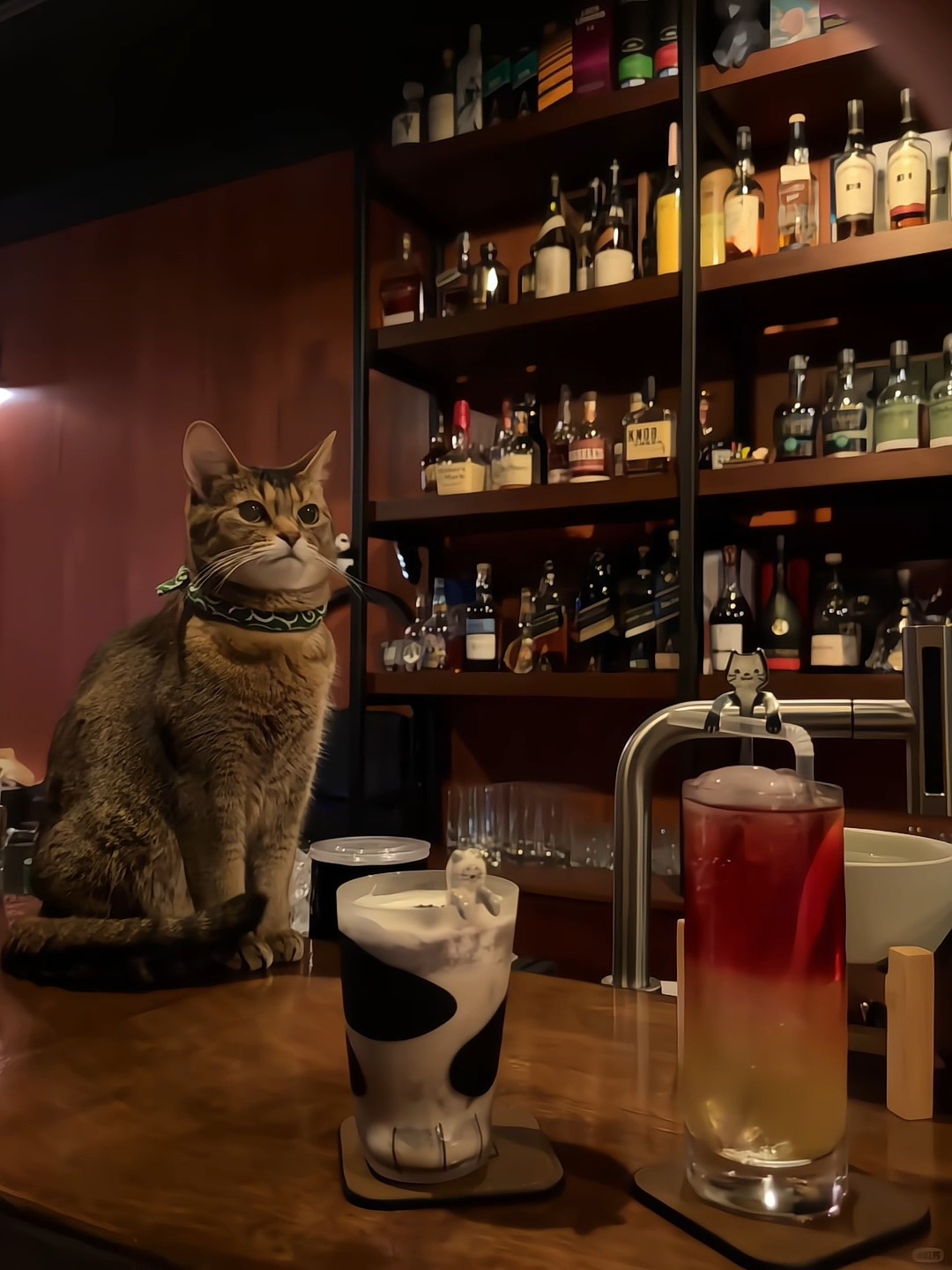 好像那个什么冷脸萌 