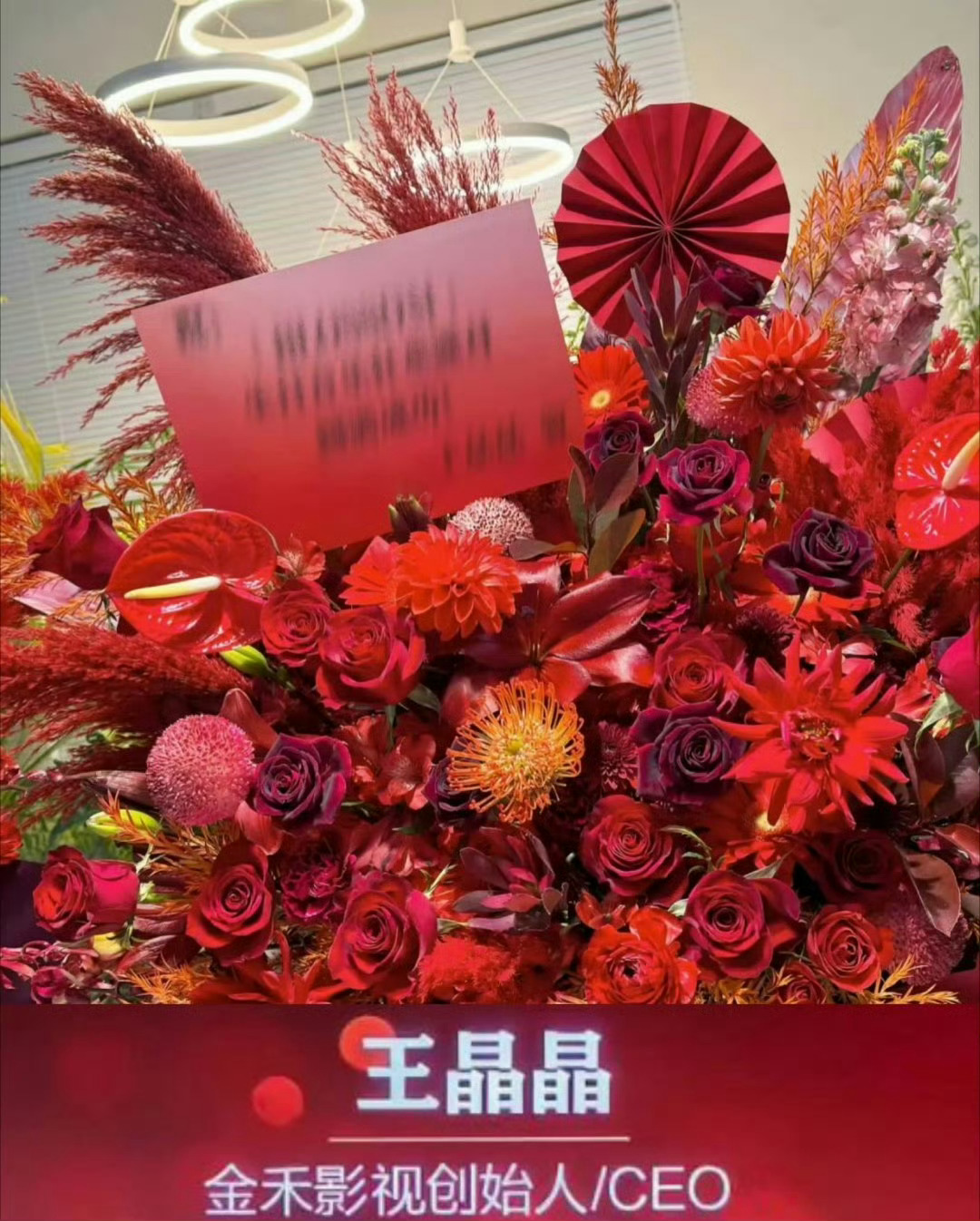 长生骨由爱奇艺+稻草熊+金禾影视三方重磅联合出品，顶配投资量级全倾斜何盼单人，海