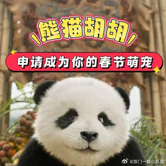 熊猫计划适合与孩子一起看的童话 《熊猫计划之部落奇遇记》太适合带娃冲了，不讲大道