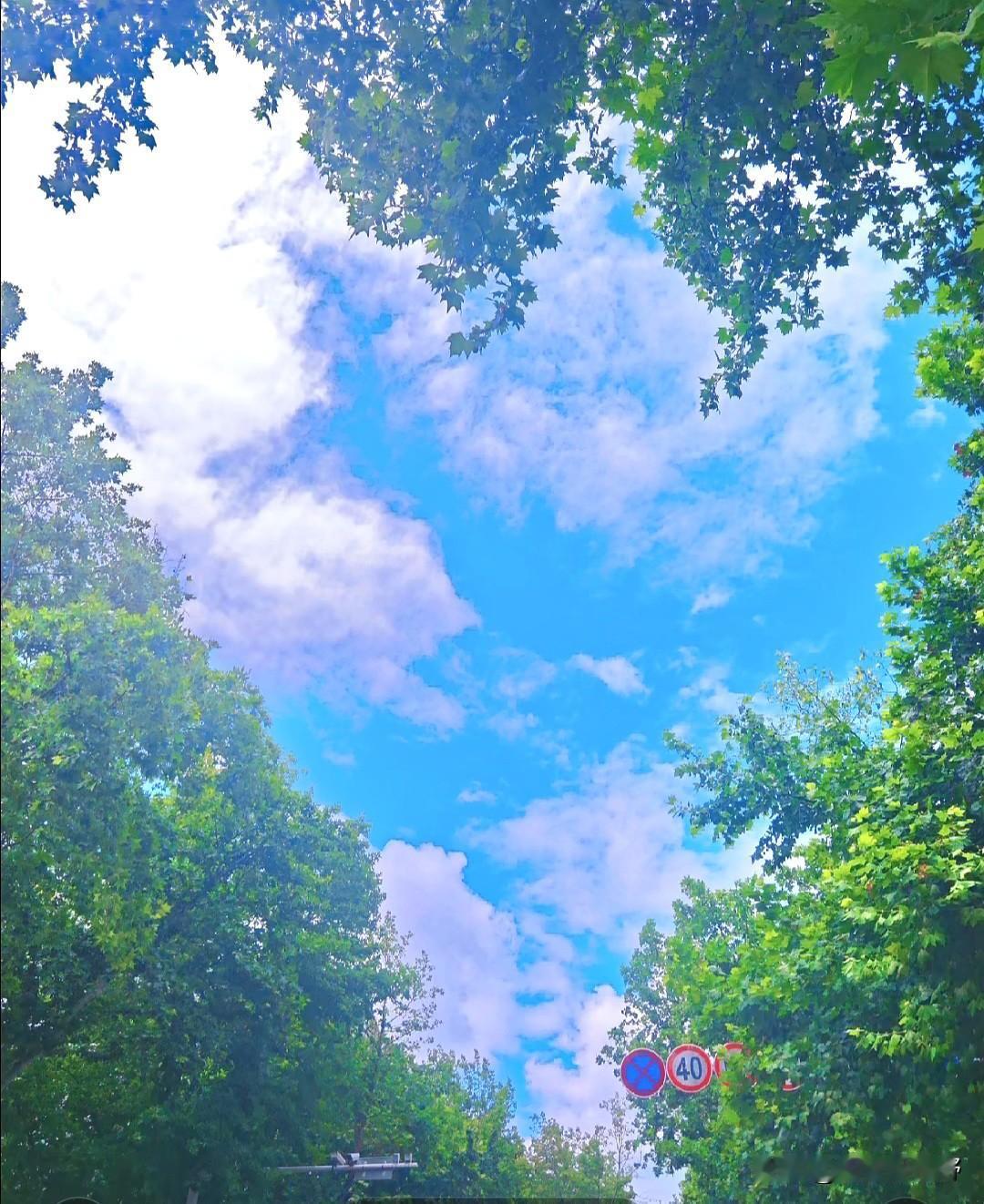 蓝天白云，阳光透过树叶洒下来晴朗的午后天空 晨起天空之景 蓝天绿叶治愈系 逆光下