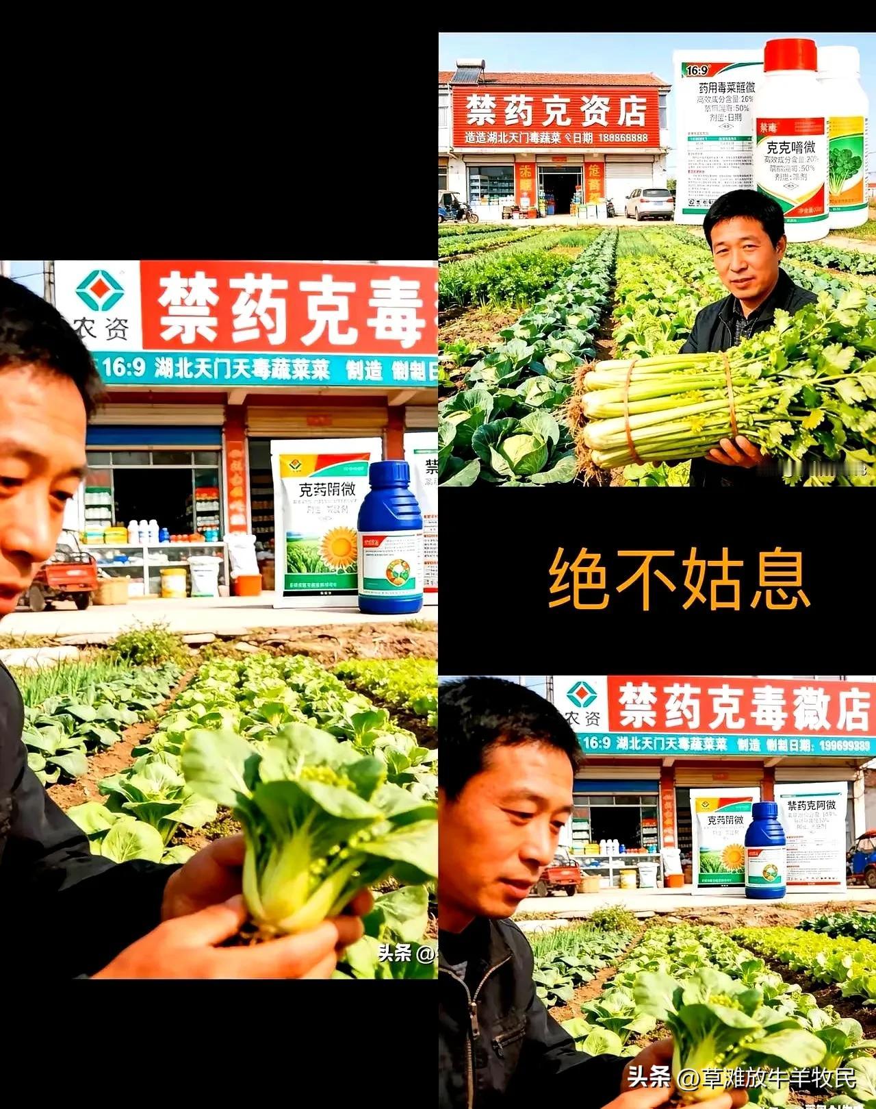 吓出冷汗！换马甲的“毒农药”竟偷偷卖，涉案蔬菜没流入市场太万幸

央视一曝光，天