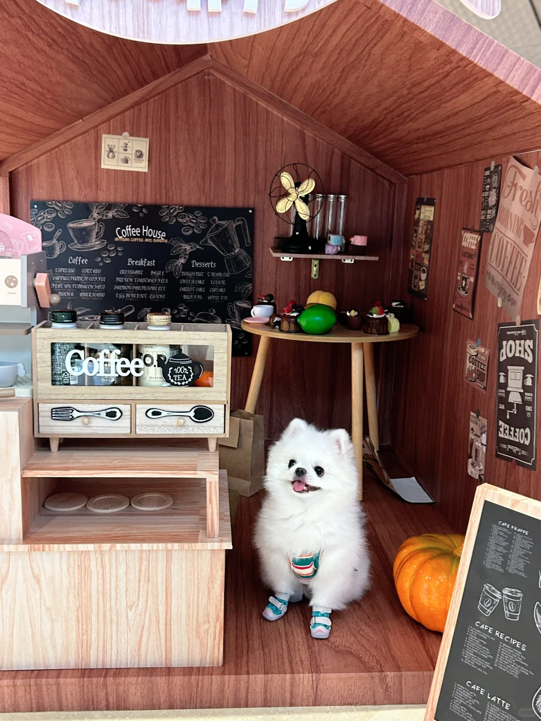 摸鱼咖啡厅开业了☕️