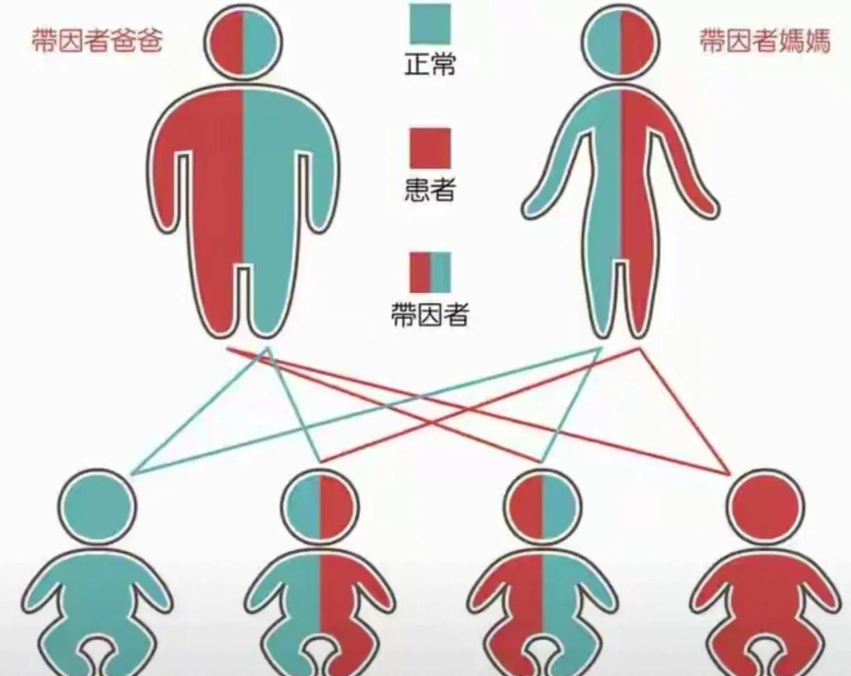 如果地球上只剩下1男1女，需要多长时间才能再发展到当前的75亿人？有专家经过分析