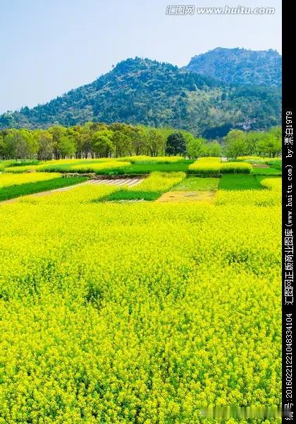 农村土地流转的总体原则
一是土地的权属不变，二是农民自愿，三是有偿的原则。
农村