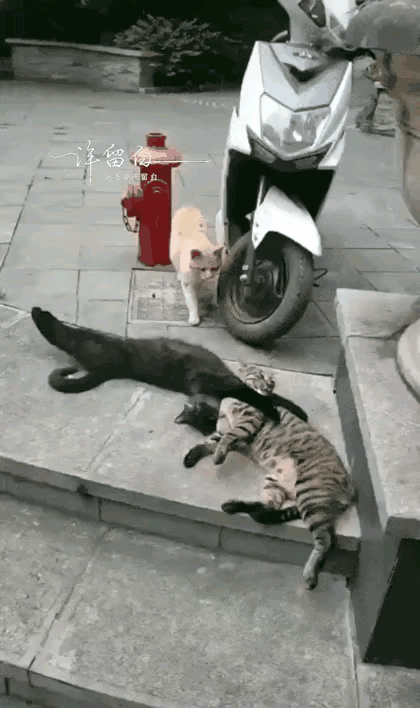 当场抓住，这下有好果子吃了