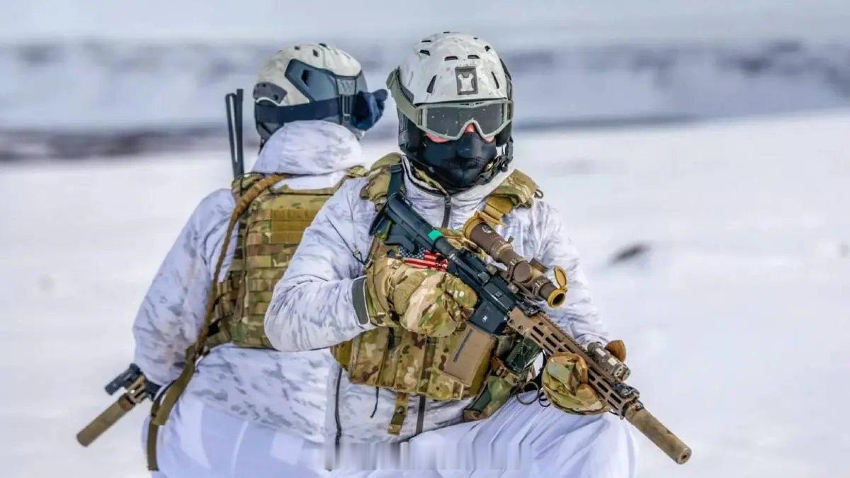 海外新鲜事 据《金融时报》报道，丹麦计划在格陵兰长期加强其军事存在，并以轮换方式