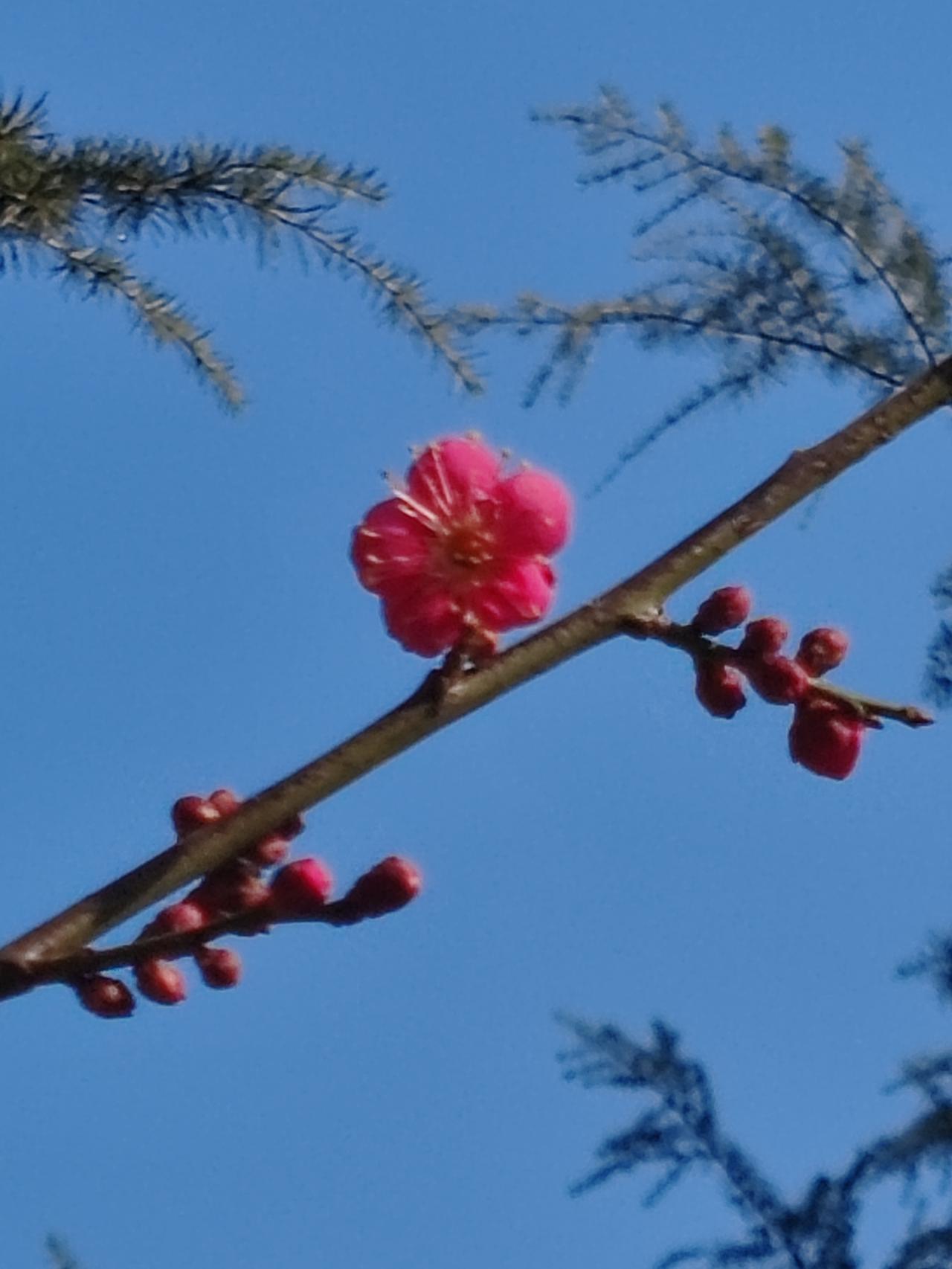 女子头发没吹干骑电动车导致面瘫 女子头发没吹干骑电动车导致面瘫，这事儿听起来挺玄