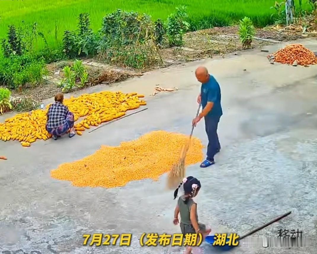 湖北一农村晒场，女孩脚踩铁锹，爷爷提醒这样会打到头，小姑娘不信，还蹦了一下，下一