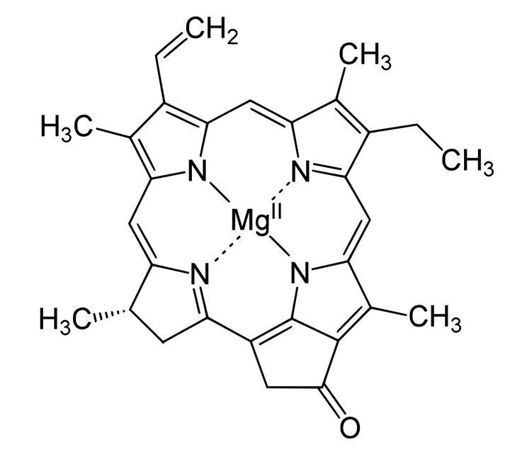 叶绿素（Chlorophyll）中间是四个五角形的吡咯（Pyrrole）结成环状
