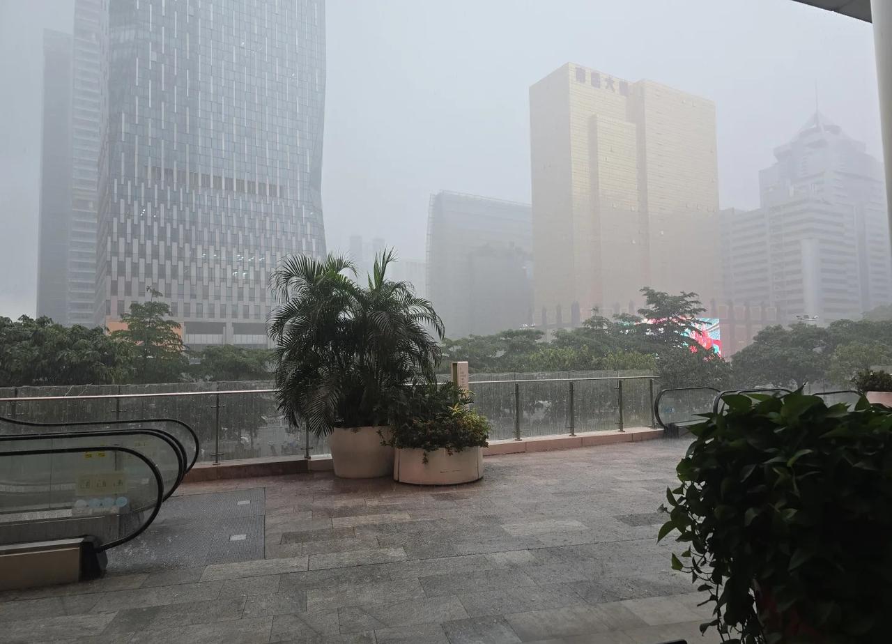 广州我真的没有内裤陪你颠啦！！！！！！我的城市一直在下雨 上班下雨下班下雨 这雨