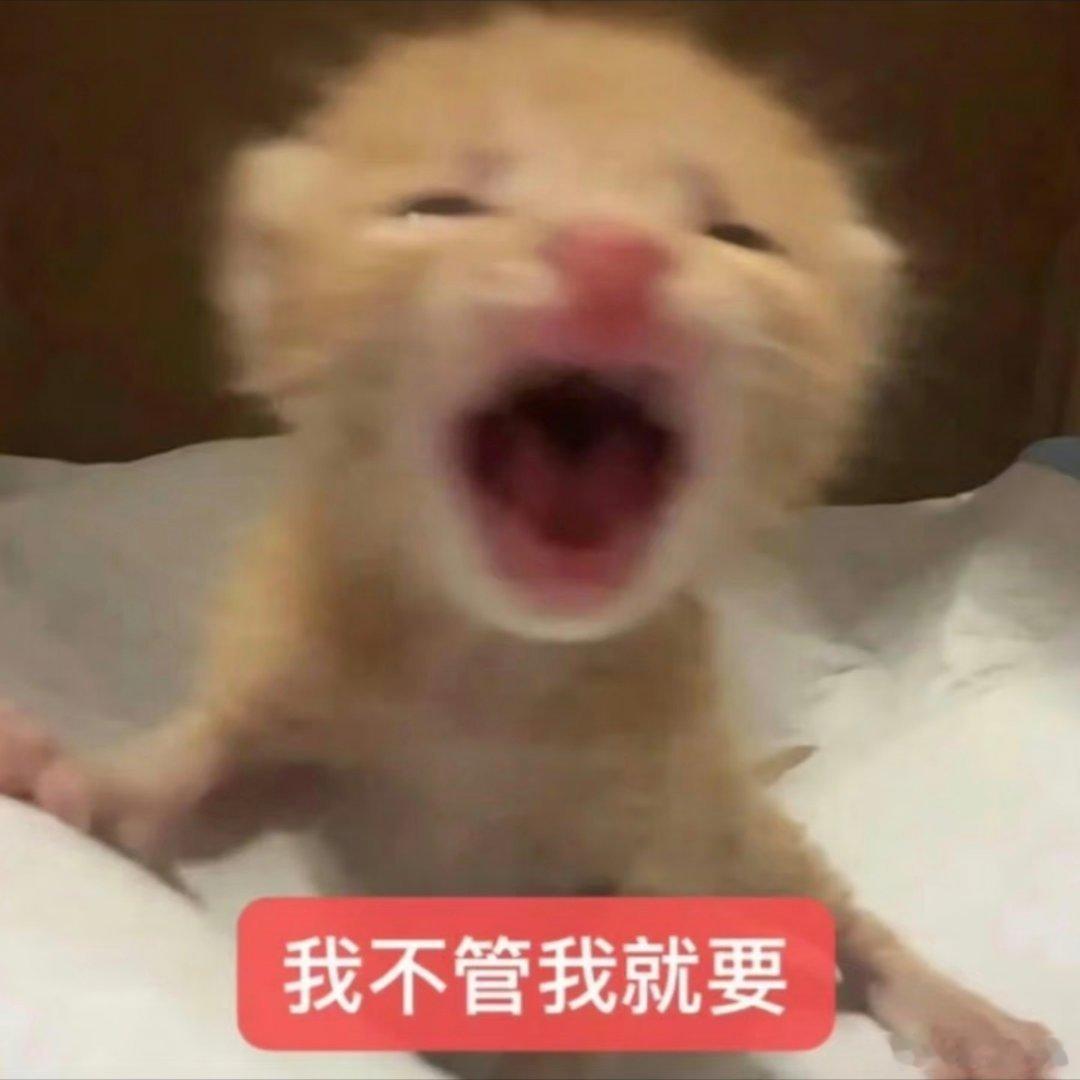 可爱表情包。 