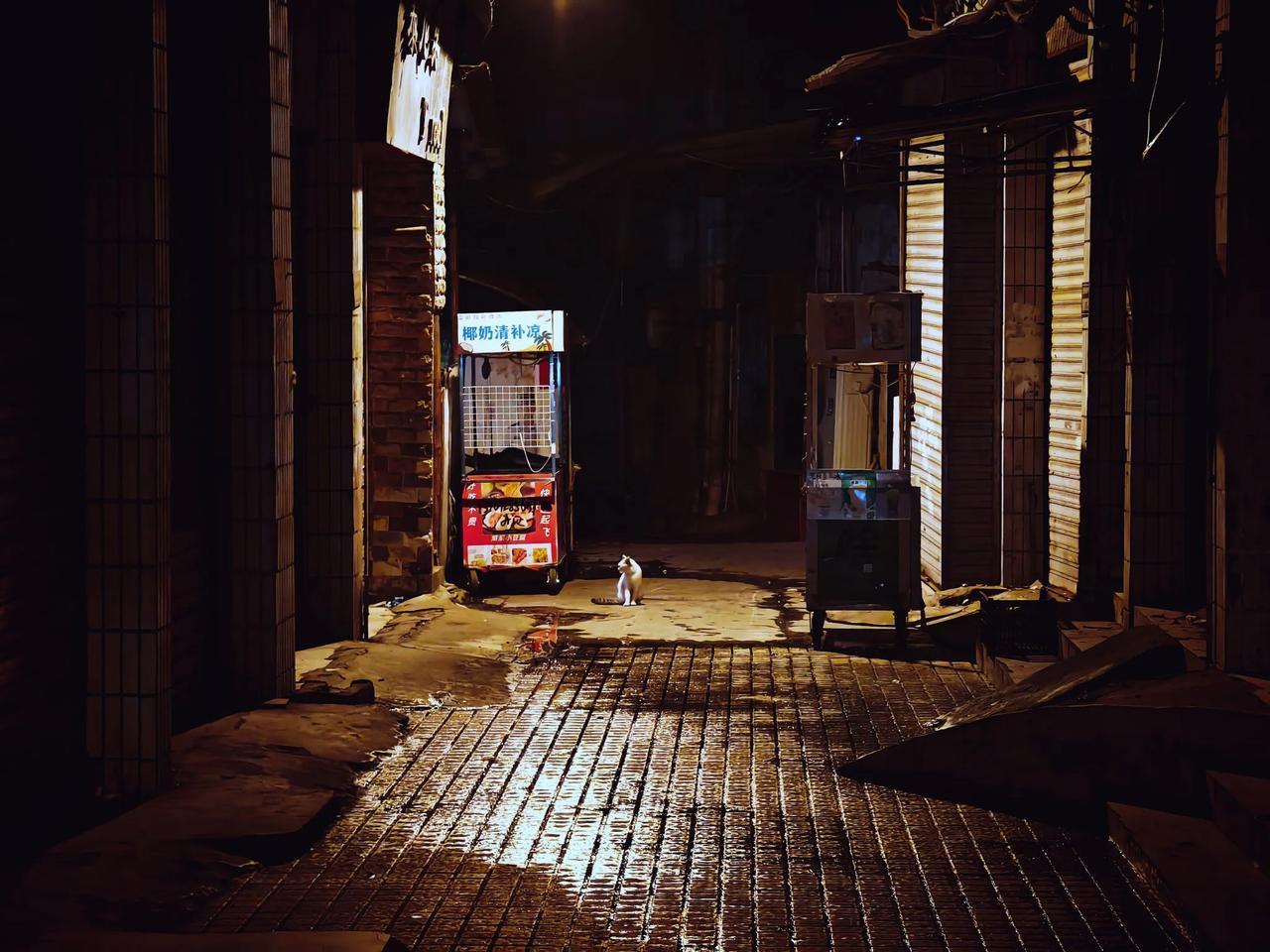 夜猫子#阑珊定格#