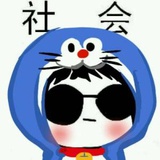 桂鸥热逛汽车