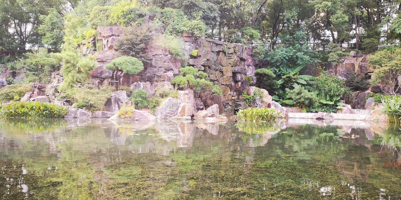 #秋日生活打卡季#闹市之中，我以一缕清风为伴，觅得一份静谧，悠然自得。