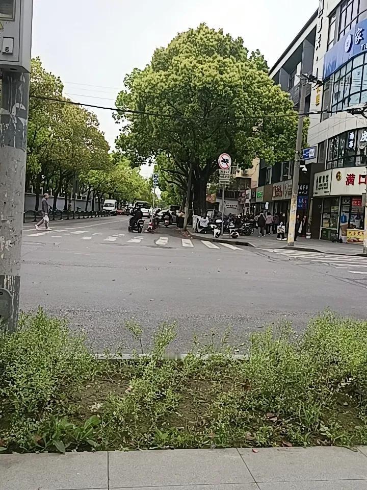 昨天下了一天的雨，今天又是个阴阳天，广场上走了几圈，又来这里坐一会！