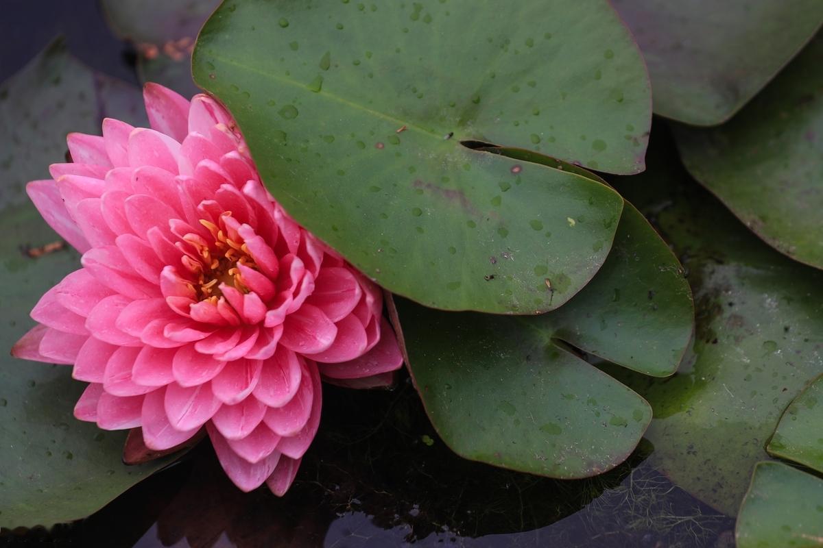 人生不如意事十之八九，真正有格局的人，既能享受最好的，也能承受最坏的。人生就是一