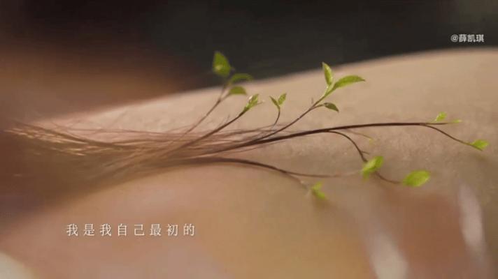 薛凯琪生日新歌自由的夜薛凯琪自由的夜新岁新声，薛凯琪带着《自由的夜》和大家见面，