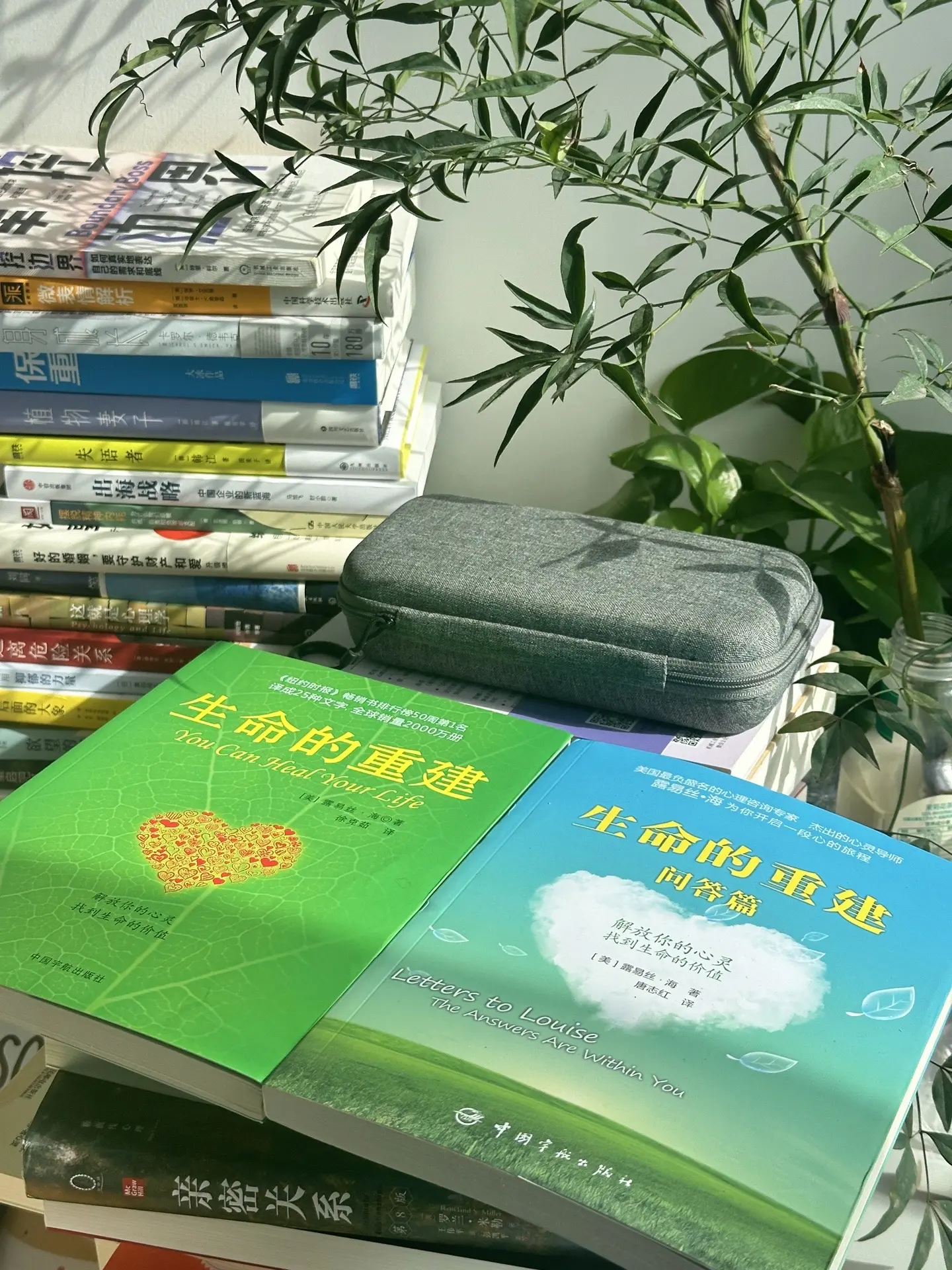 生命的重建， 解放你的心灵， 找到生命的价值！