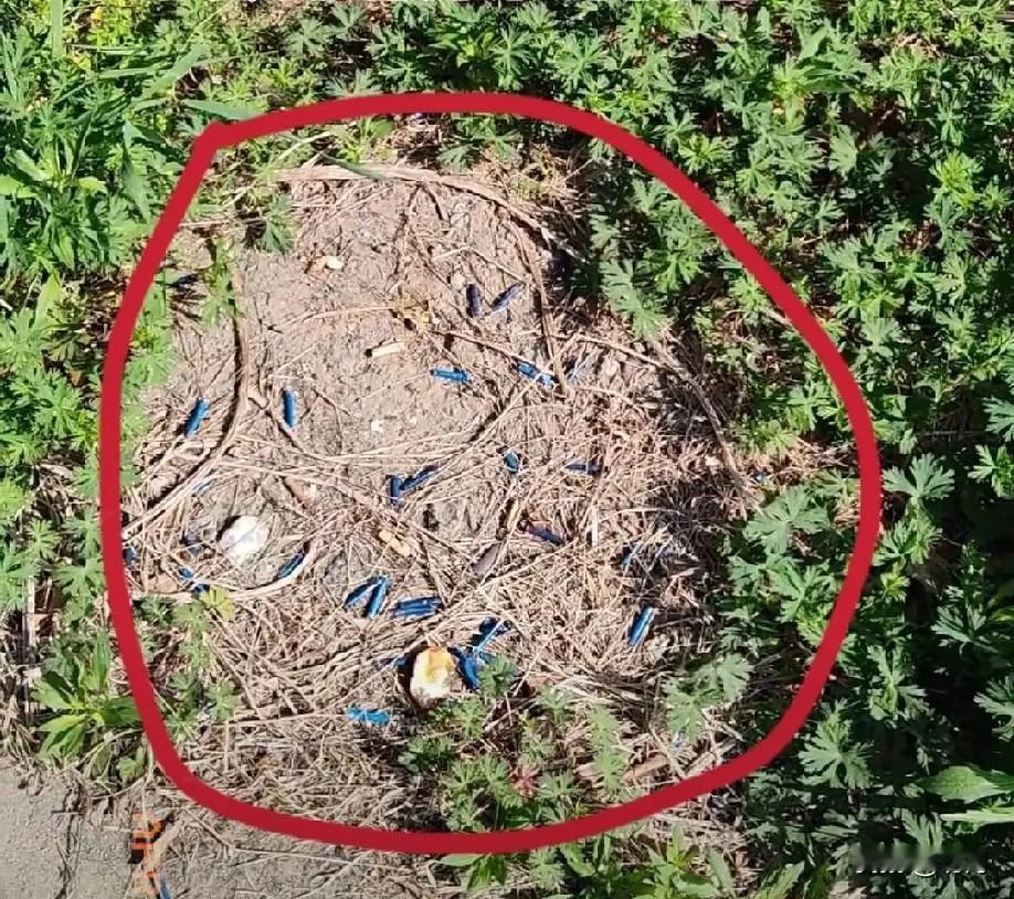 “果然是耳听为虚眼见为实！”

近日，一男子发现了一个奇怪的现象，自己长期丢烟头