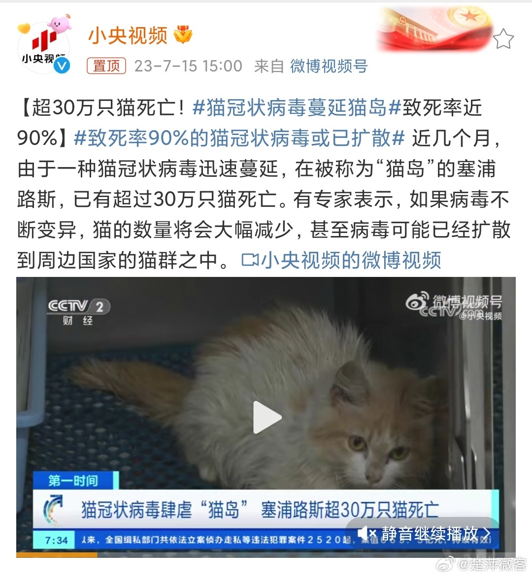 #致死率90%的猫冠状病毒或已扩散# 猫也有冠状病毒[汗]，这世界是怎么了[摊手