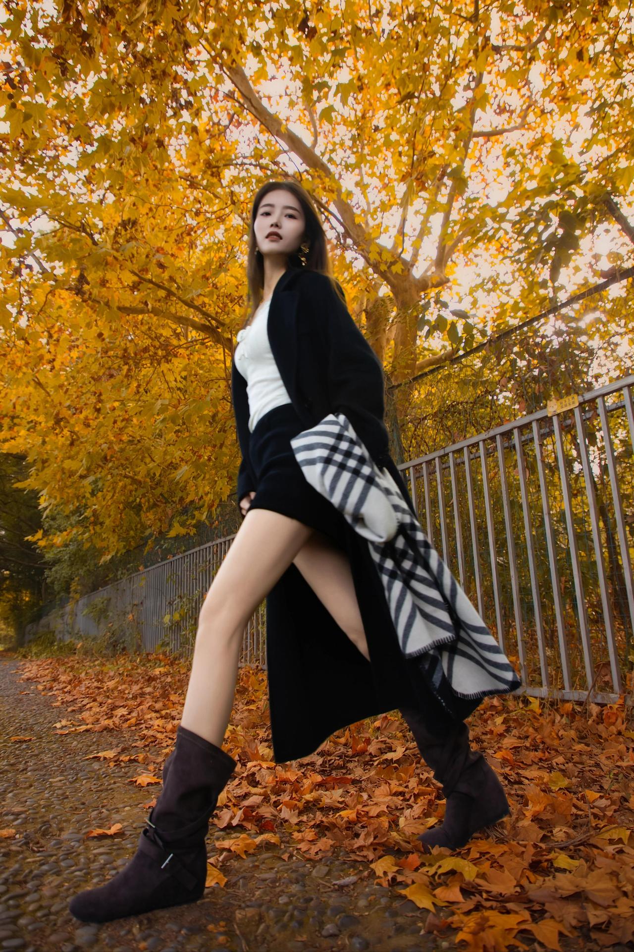 是谁还没领略到今秋的限定浪漫？金黄的枫树下，落叶作伴，随手一拍都是大片既视感。