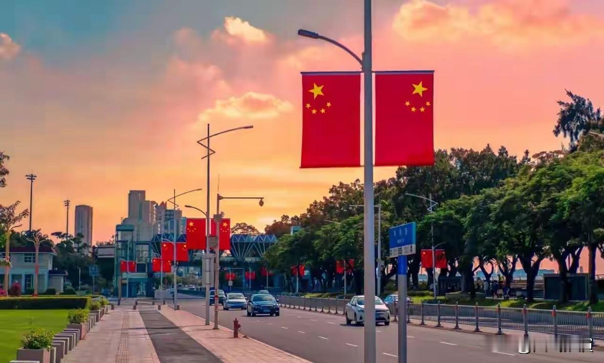 荷兰既然提袖子下场，对闻泰科技旗下安世半导体公司动刀子，中国就不应该任其猖狂，必