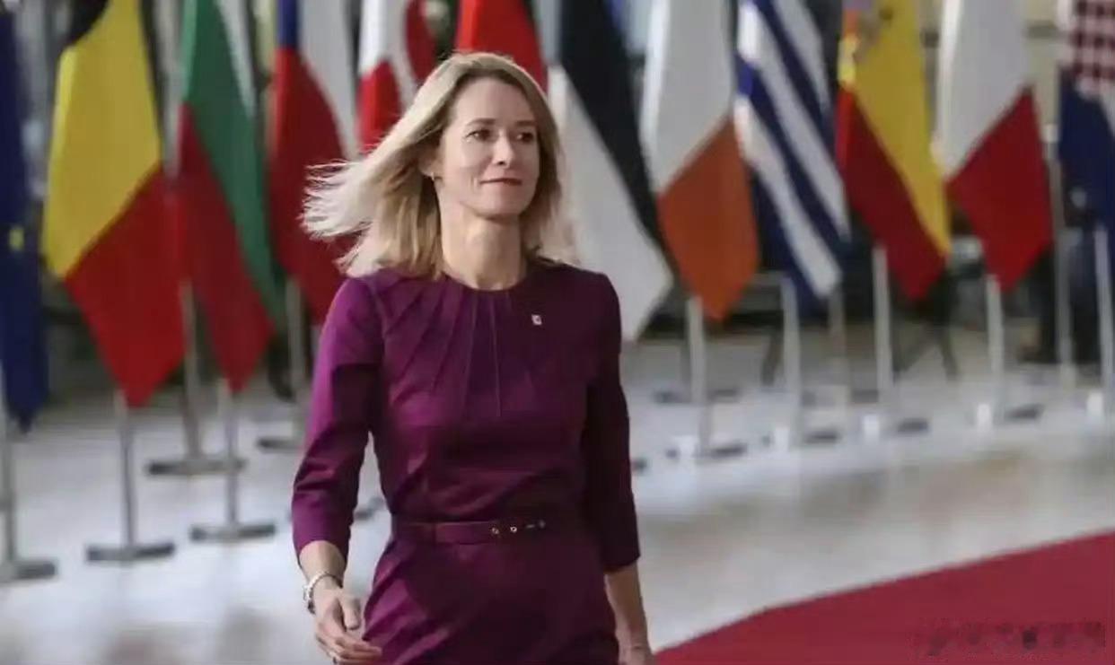 欧盟外长强调女性参与国际政治的重要性，她说有研究表明，当女性参与谈判时，所达成的