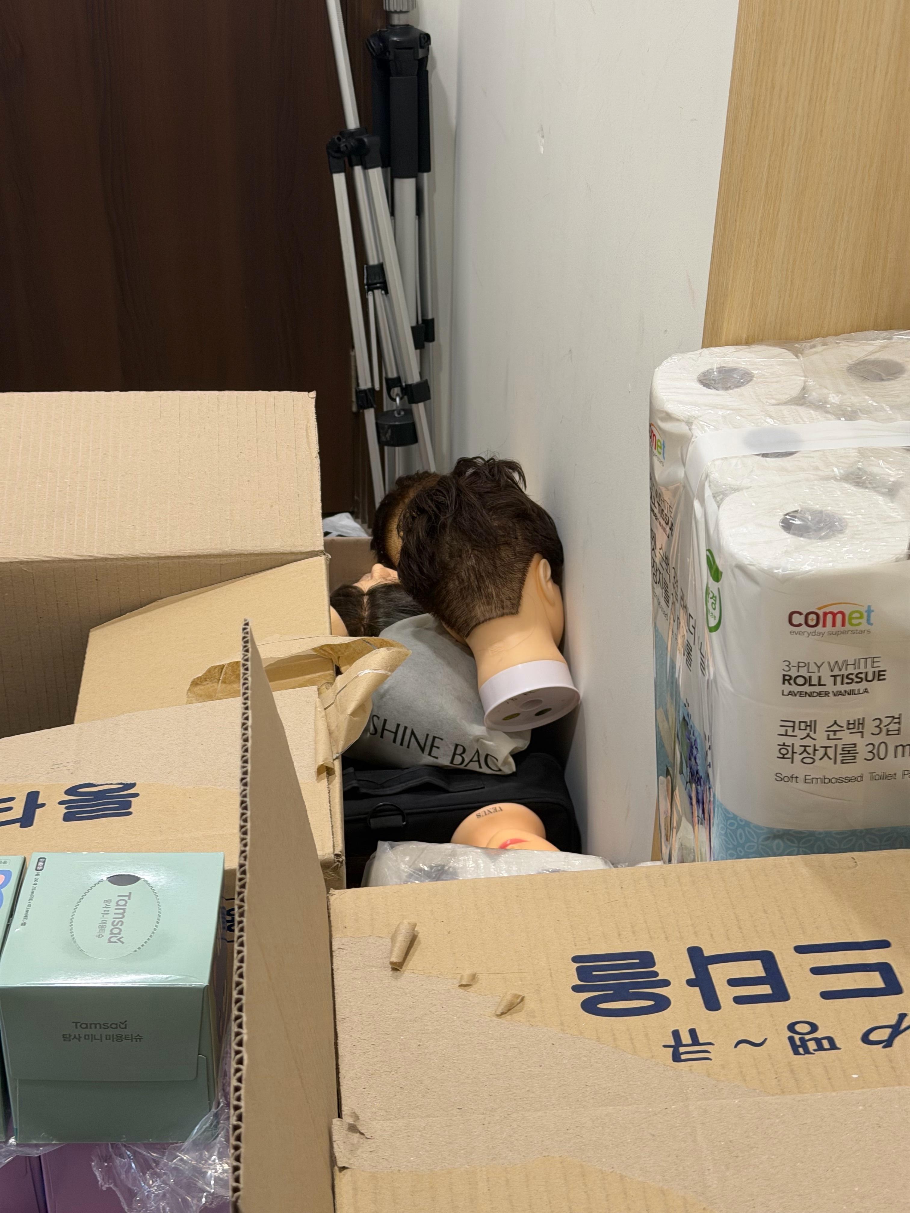🎻💬-不是 刚刚我路过商店仓库的时候 看到几个假发模特在地上躺着（？）给我吓