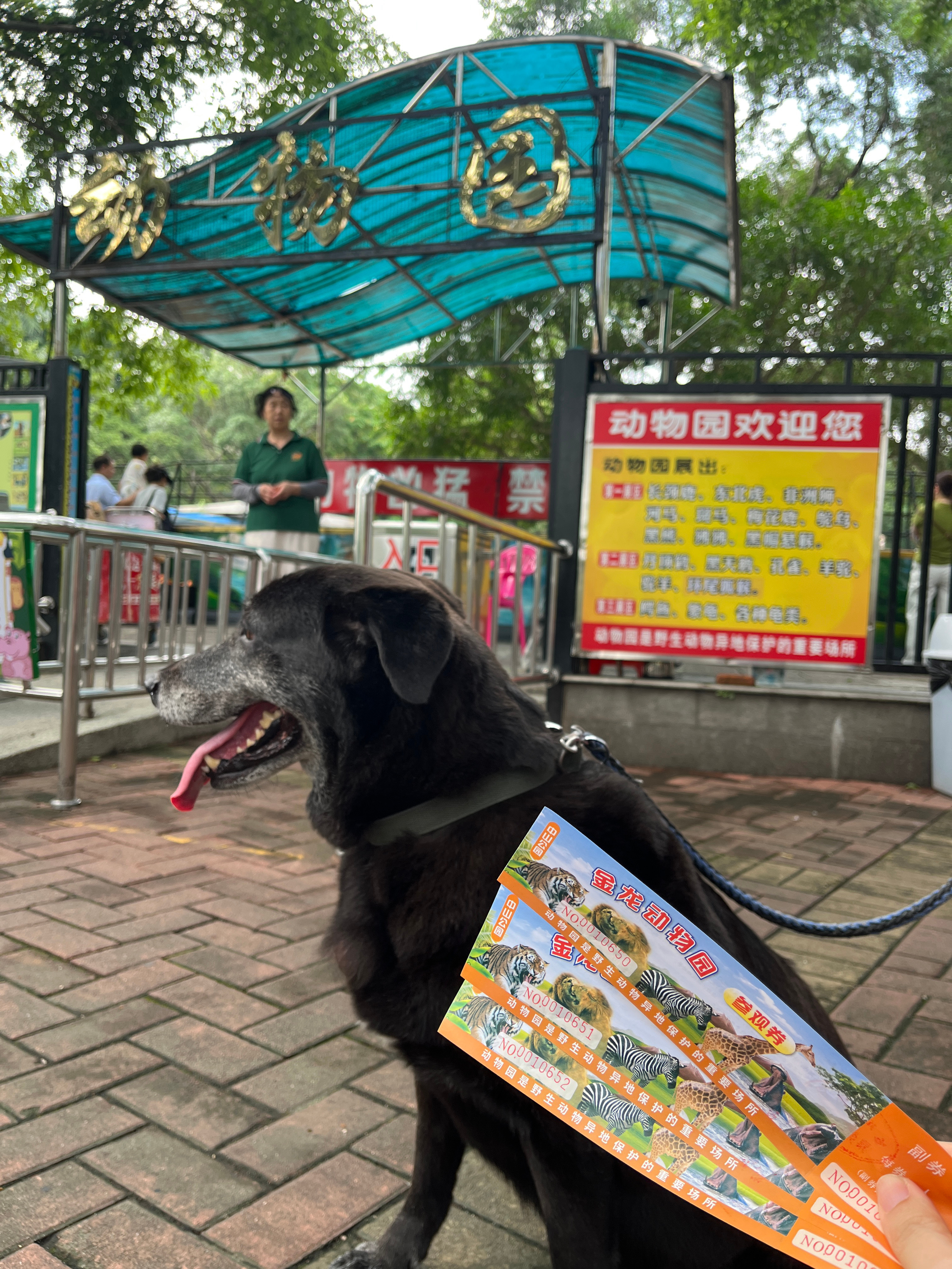 带狗狗来佛山中山公园的金龙动物园啦！是🉑以带狗狗进动物园的～门票20/人，太值
