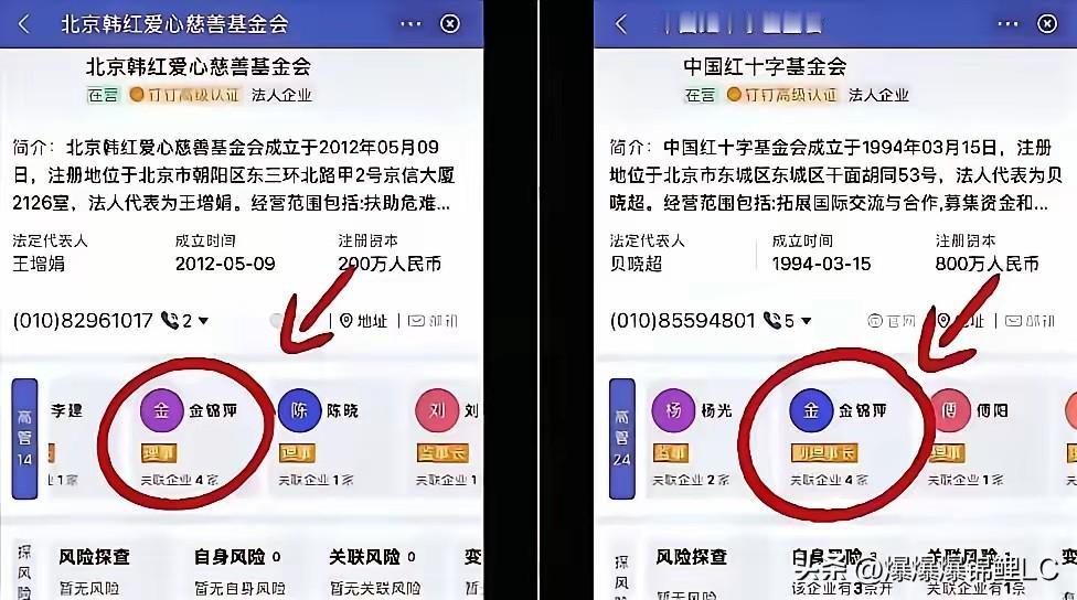 近期有网友发现红十字会和韩红基金会的高管同名，一时间引起热议。

网友表示：“韩