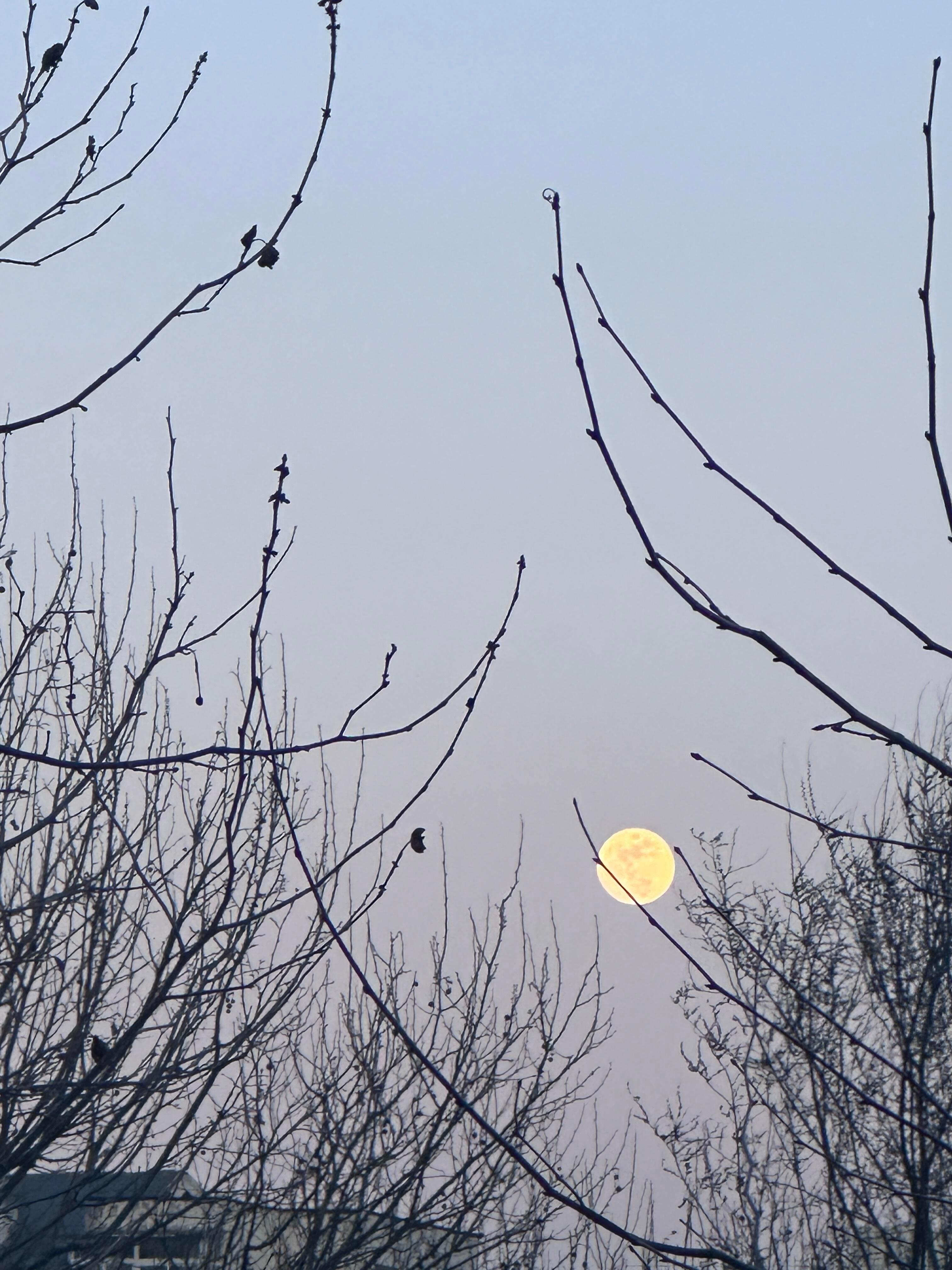 当我的努力是对手2倍10倍的时候 