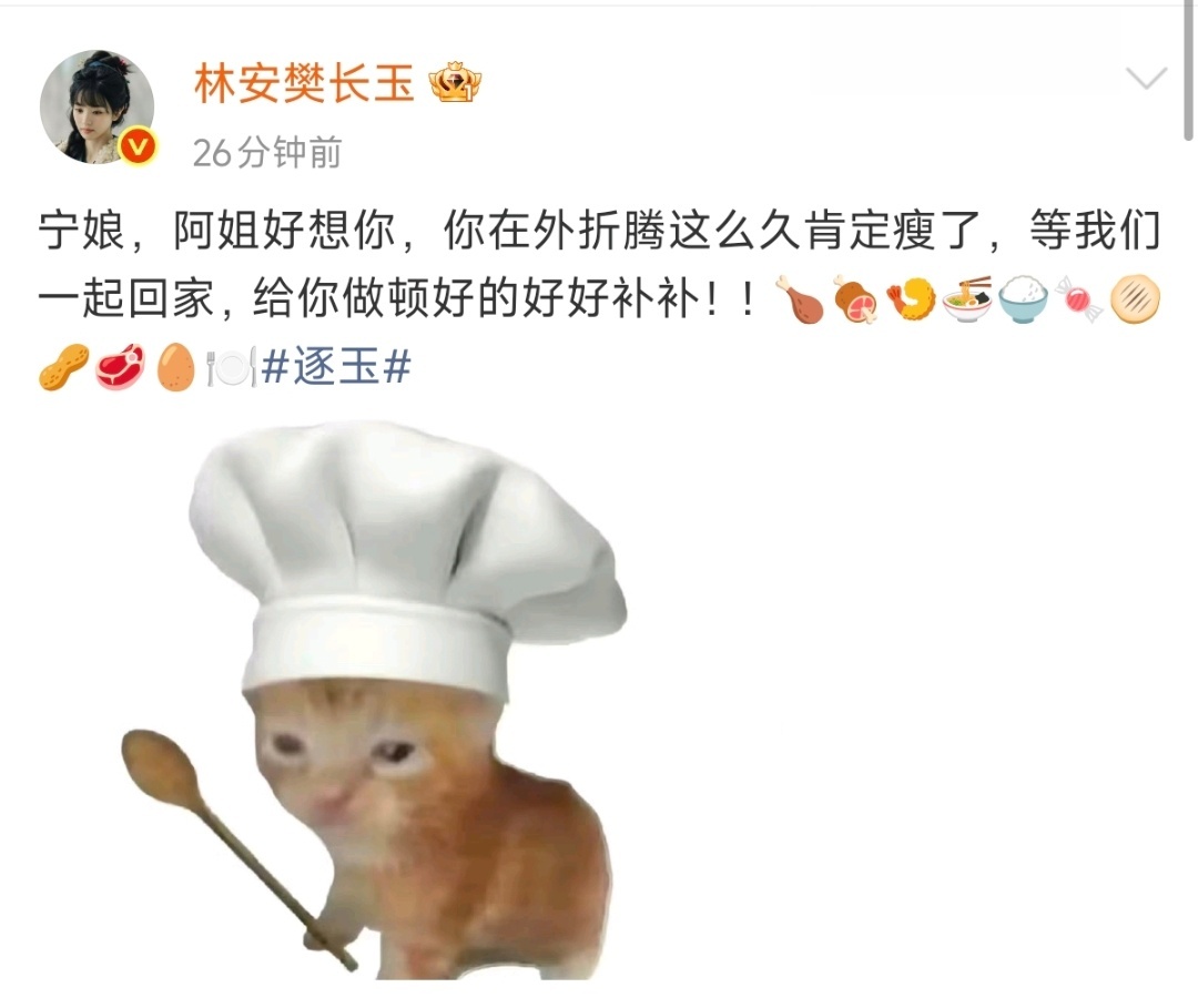 田曦薇长玉又要给宁娘做肥肠面吗长玉宁娘现在吃的未必比你差啊 长玉宁娘现在吃的未必