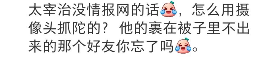 嗯，这就是野狗讨厌太宰治的人，连花袋不是太宰的朋友，是国木田的朋友都不知道。连太